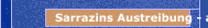 Sarrazins Austreibung - alternativlos?
