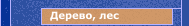 Дерево, лес