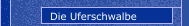 Die Uferschwalbe