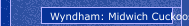 Wyndham: Midwich Cuckoos