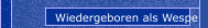 Wiedergeboren als Wespe