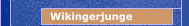 Wikingerjunge