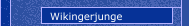 Wikingerjunge