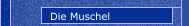 Die Muschel