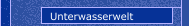 Unterwasserwelt