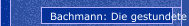 Bachmann: Die gestundete Zeit